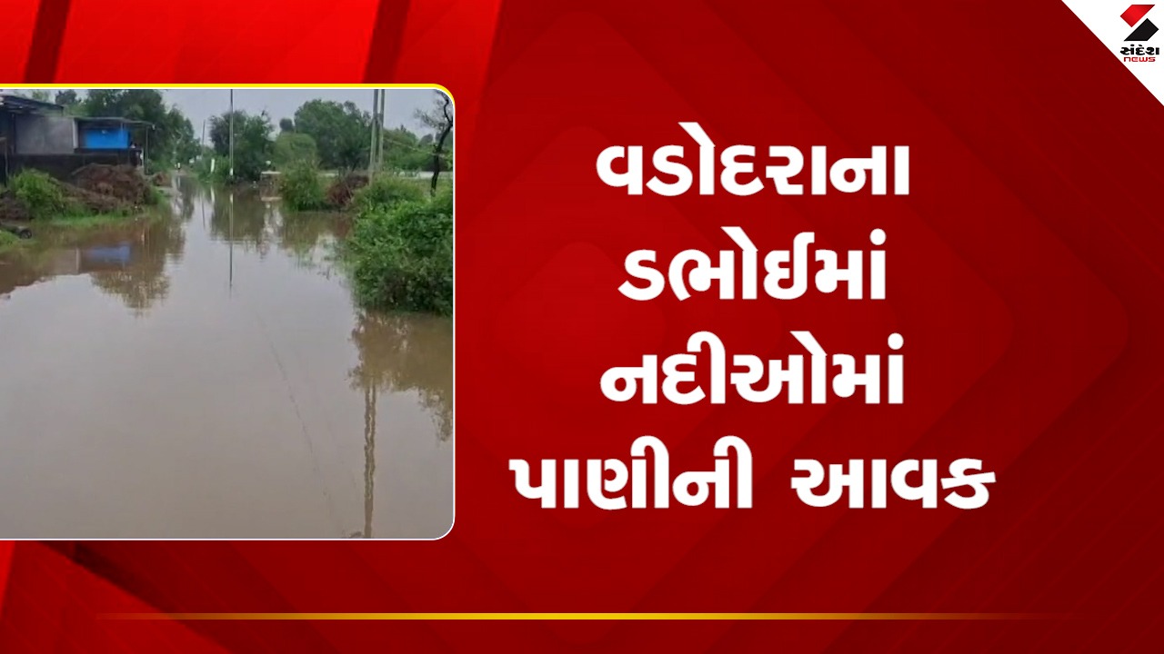 Vadodaraના ડભોઇમાં નર્મદા નદીમાં પાણીની આવક થઈ, જુઓ Video