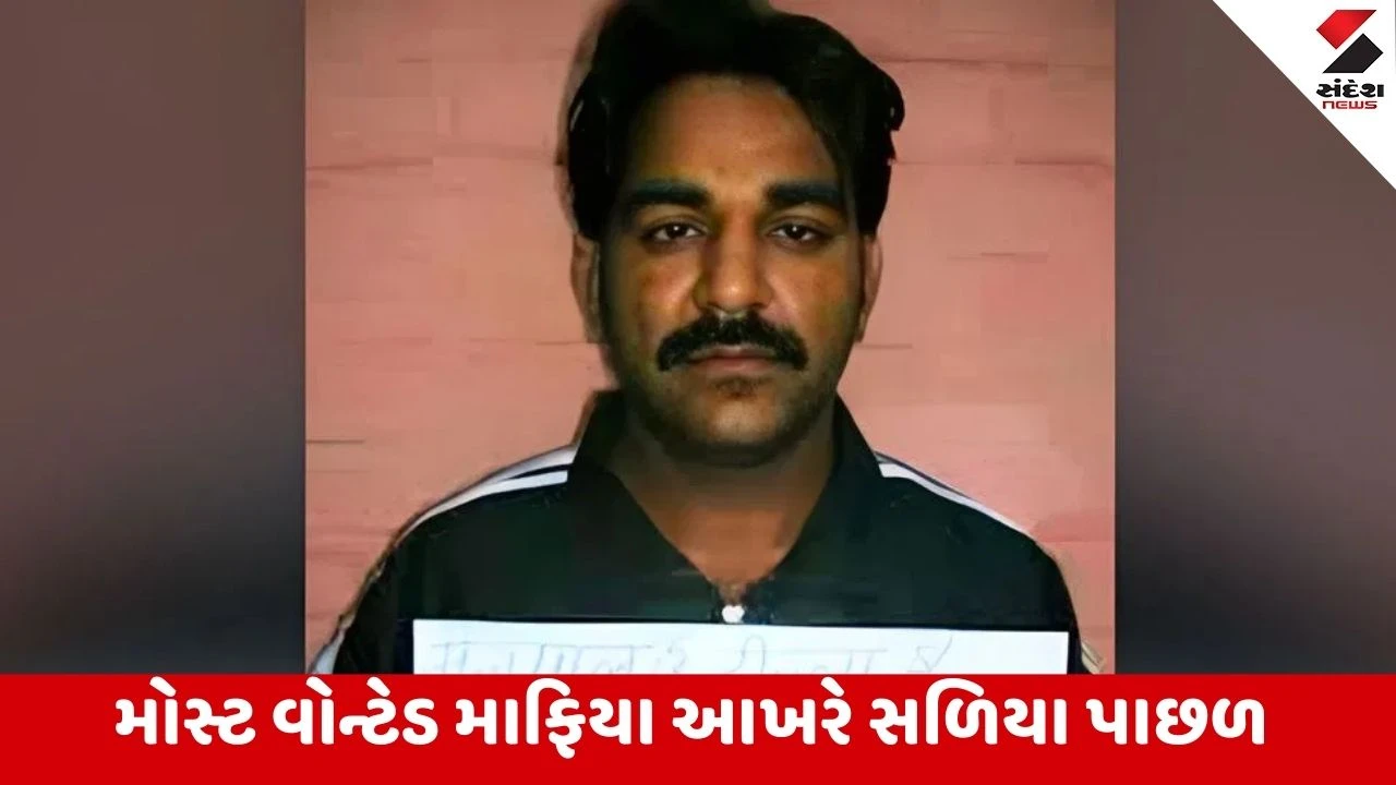 માફિયા મૈનપાલ બાદલીને કંબોડિયાથી ભારત લાવવામાં એજન્સીઓને સફળતા મળી, તેની કરમ કુંડળી વાંચો. (Crime : Agencies succeed in bringing infamous gangster Mainpal Badli from Cambodia to India)