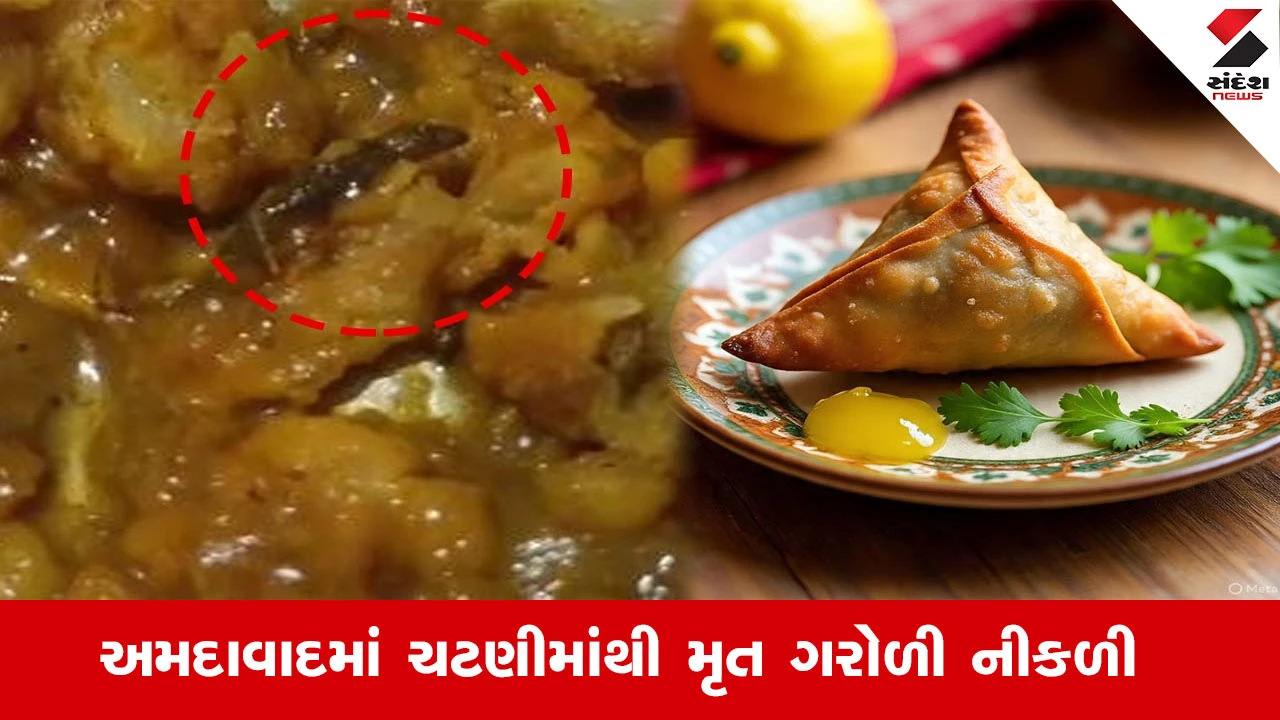 અમદાવાદ ન્યૂઝ: સમોસાની ચટણીમાં મરેલી ગરોળી નીકળી, મહિલાએ AMC માં ફરિયાદ નોંધાવી.