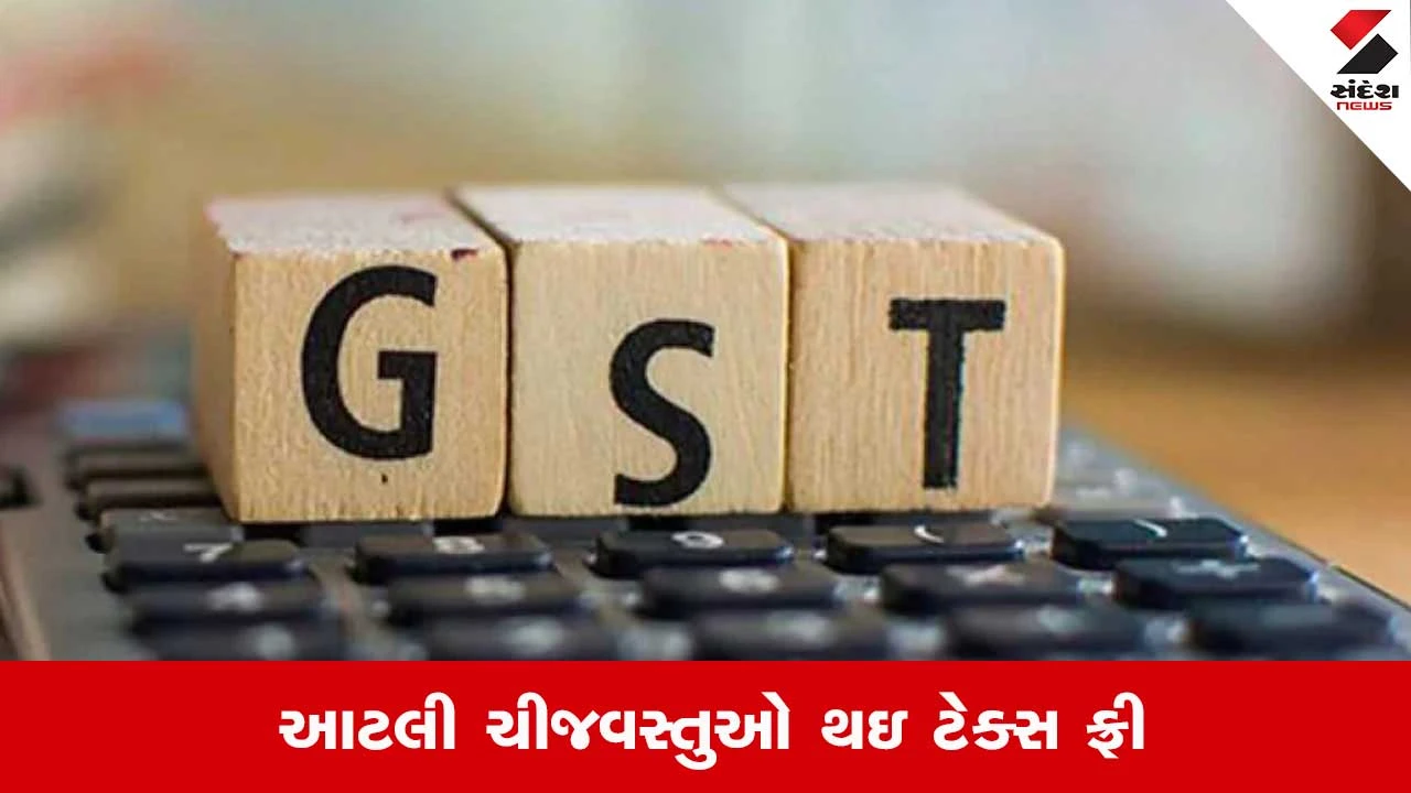 New GST Rates List 2025: ઘણી વસ્તુઓ ટેક્સ ફ્રી, જાણો લિસ્ટ.