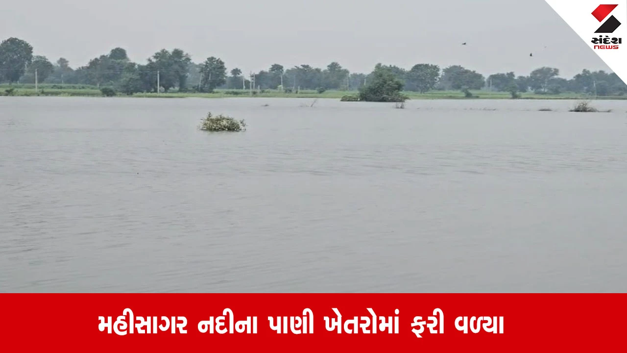 Panchmahal: મહીસાગર નદીના પાણી 300 એકર જમીનમાં ફરી વળ્યા, કુદરત સામે ખેડૂત લાચાર બન્યો