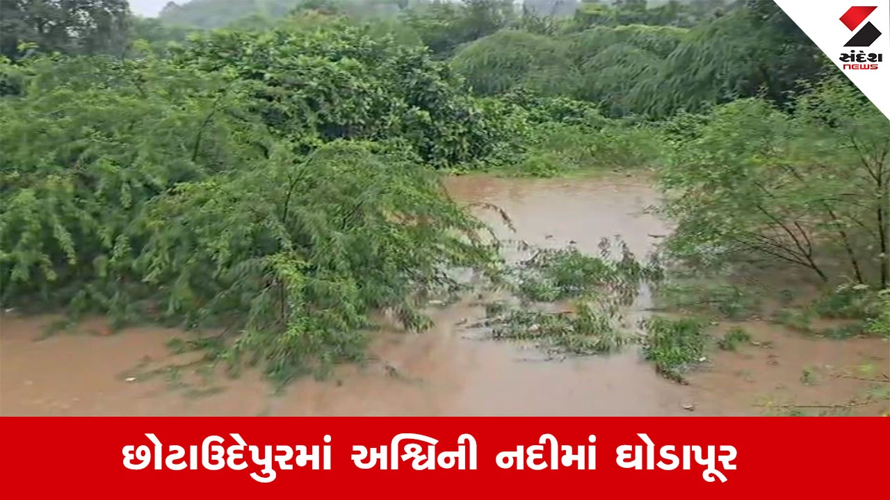 Chhota Udepur Rain News: બોડેલીમાં 8 ઈંચ વરસાદથી સ્થાનિકોના ઘરોમાં પાણી ઘૂસ્યા, ભારે હાલાકી સર્જાઈ.