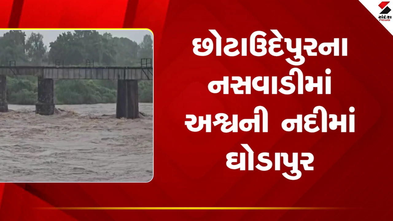 Chhotaudepur Rain : અતિભારે વરસાદને પગલે નસવાડીમાં અશ્વિની નદીમાં ઘોડાપુર, જુઓ Video