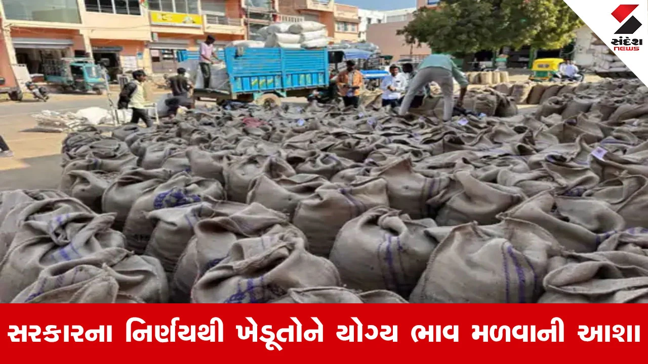 Gandhinagar News: મગફળી, સોયાબીન, અડદ, મગ માટે ટેકાના ભાવે ખરીદી, 4.81 લાખ ખેડૂતોનું રજીસ્ટ્રેશન.