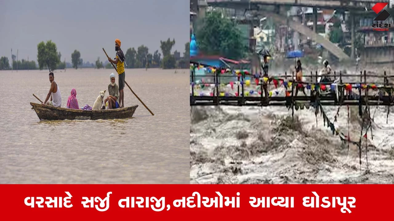 ભારતમાં વરસાદનું તાંડવ: પંજાબ અને દિલ્હીમાં નદીઓએ રૌદ્ર સ્વરૂપ લીધું, ભારે તબાહી મચાવી.