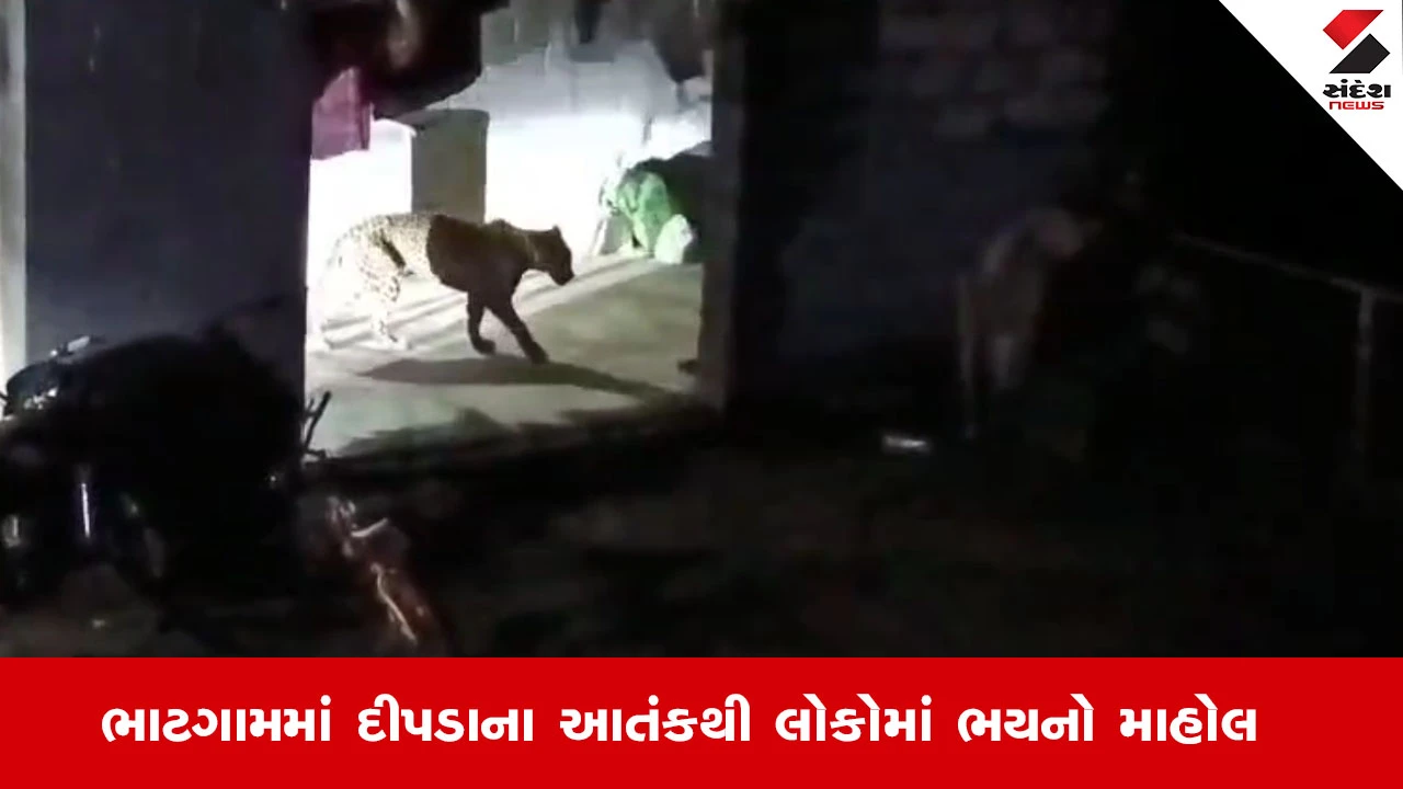 Junagadhના ભાટગામમાં દીપડાનો આતંક, ઘરમાં ઘૂસી જતા બે લોકો થયા ઇજાગ્રસ્ત
