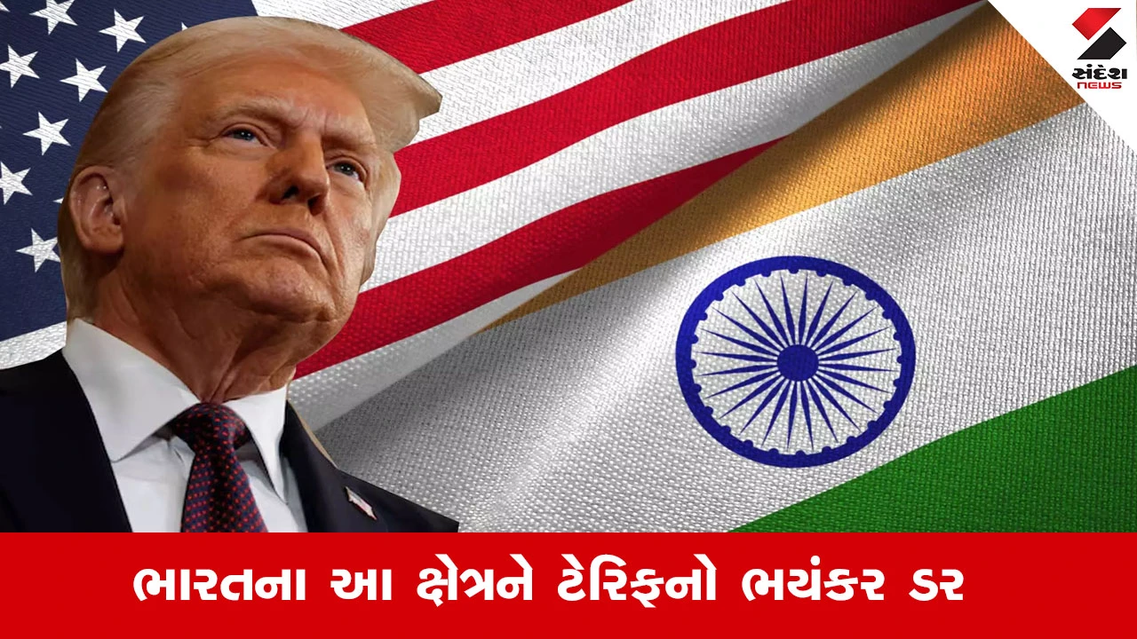 Donald Trumpના ટેરિફથી ભારતને 283 અબજ ડોલરની અસર: શું કાપડ અને IT ક્ષેત્રને થશે નુકસાન?
