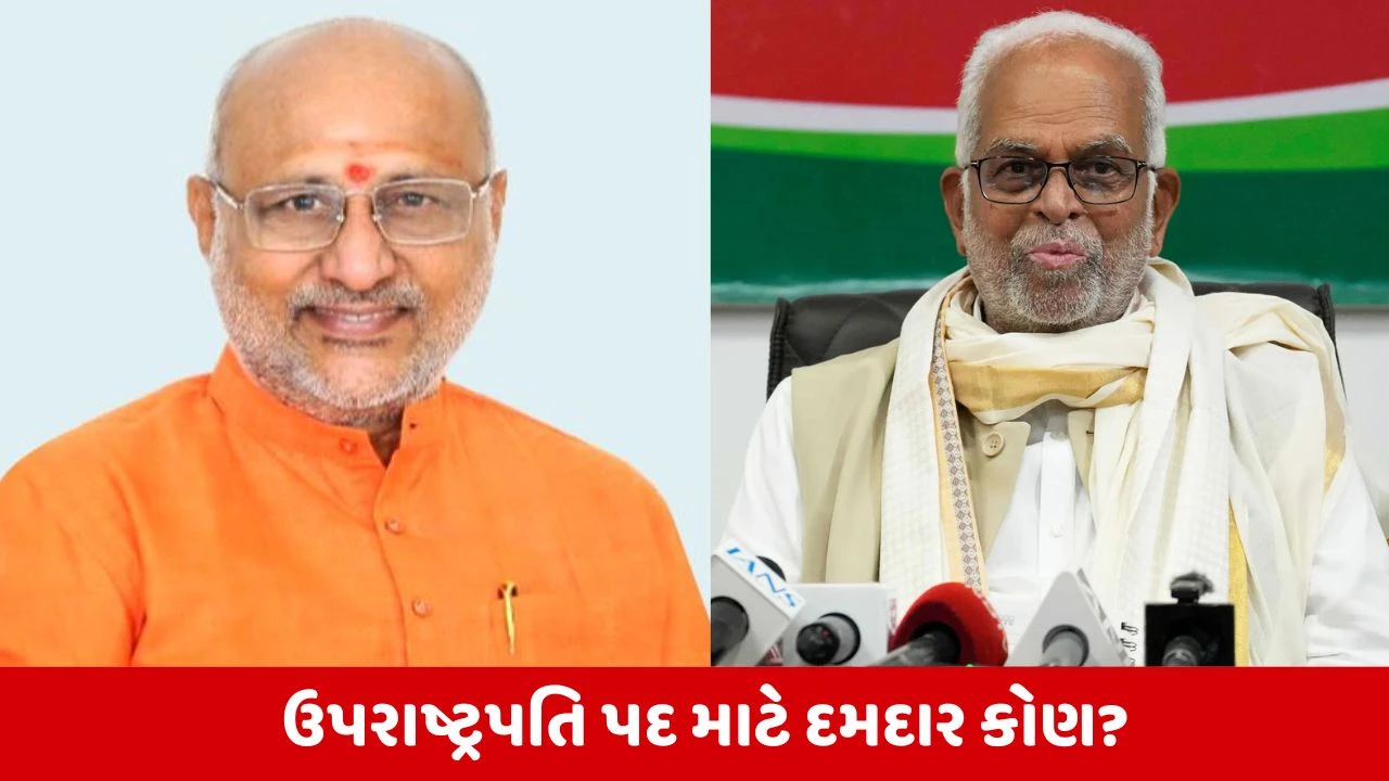 રાધાકૃષ્ણનને 'number game' નો વિશ્વાસ, સુર્દશનને 'અંતરાત્માની અવાજ' પર આશા, કોણ બનશે ઉપરાષ્ટ્રપતિ?