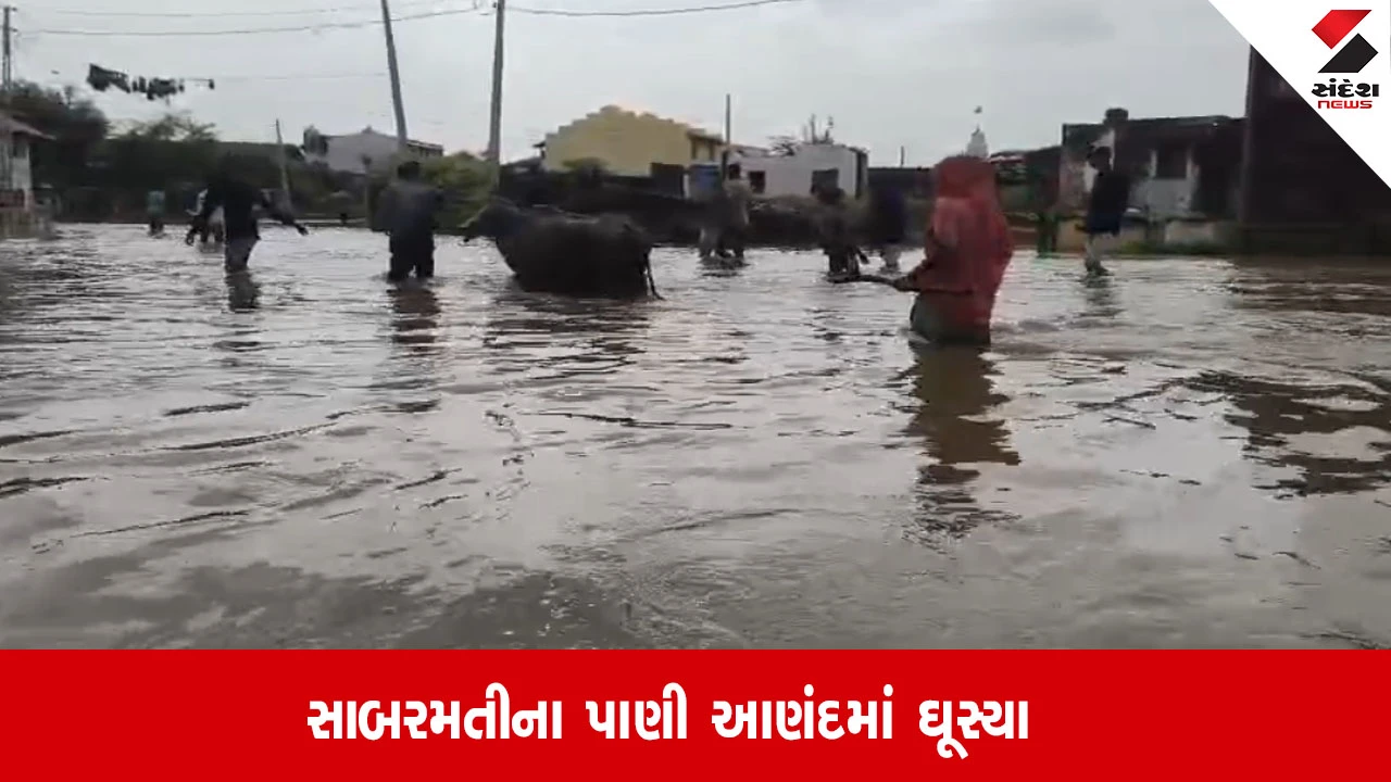 Anand: સાબરમતી નદીના પાણી નભોઈ અને આસપાસના ગામોમાં ઘૂસ્યા, રસ્તાઓ પર ઘૂંટણસમા પાણી ભરાયા.