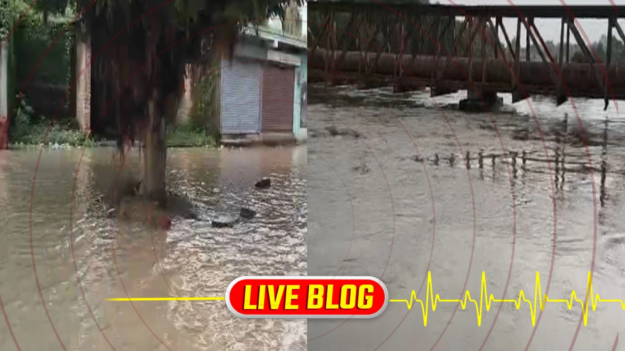 ગુજરાત લેટેસ્ટ લાઈવ ન્યૂઝ: વડોદરાના કરજણમાં ઢાઢર નદીના પાણી ઘૂસ્યા અંગેની માહિતી.