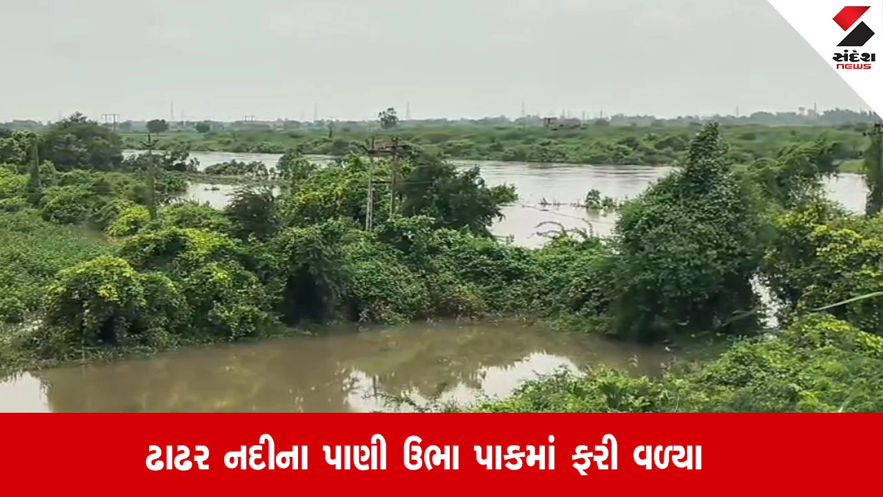 Jambusar: ઢાઢર નદીના પાણી ખેતરોમાં ફરતા ખેડૂતોને પાકમાં નુકસાનની ભીતિ, farmers ચિંતામાં.