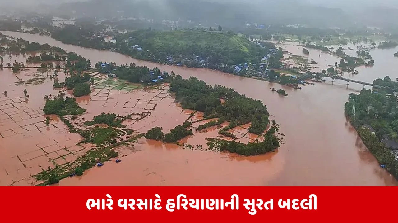 પંજાબમાં પૂર: હરિયાણામાં ભારે વરસાદ, સિરસામાં બાંધ તૂટ્યો, 15 જિલ્લાઓમાં જળબંબાકારની સ્થિતિ.
