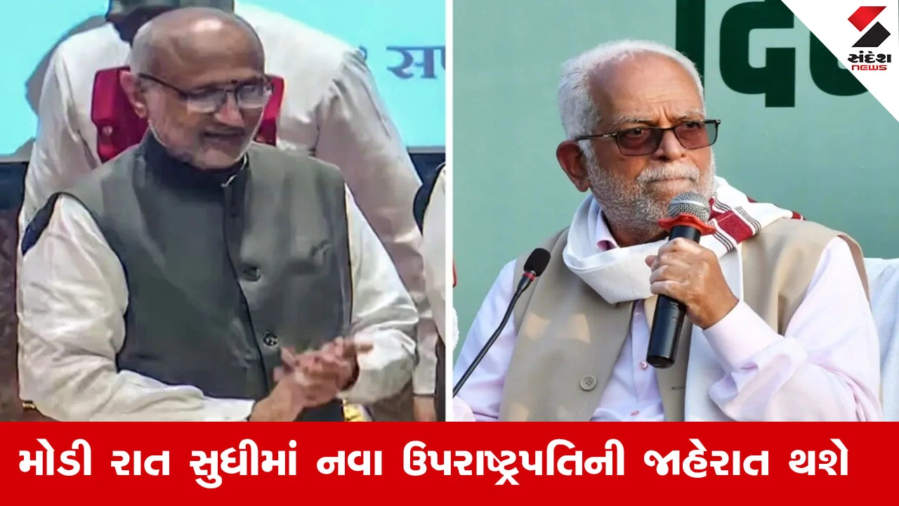 ઉપરાષ્ટ્રપતિની ચૂંટણી: NDA દ્વારા 10 કેન્દ્રીય મંત્રીઓની ટીમની રચના, આજે ચૂંટણી યોજાશે.