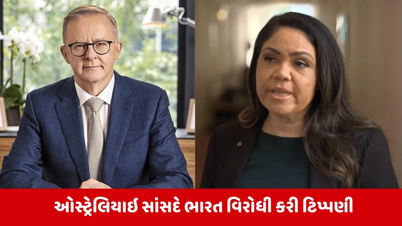 Australia: સાંસદની ભારતીયો વિરુદ્ધ ટિપ્પણીથી હંગામો, PM અલ્બાનીઝે માફી માંગવાનું કહ્યું.