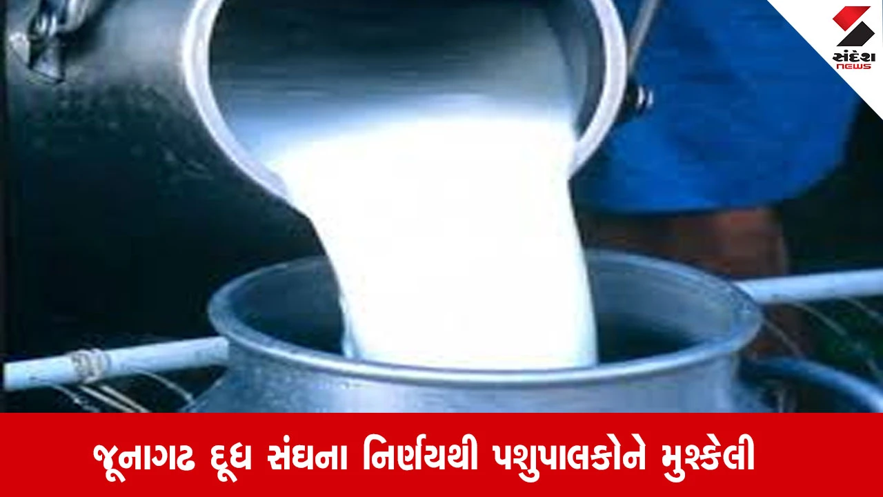 જૂનાગઢ: દૂધ સંઘ દ્વારા BMC કેન્દ્રો બંધ થતા હજારો પશુપાલકો મુશ્કેલીમાં, ખેડૂતોની હાલત કફોડી બની.