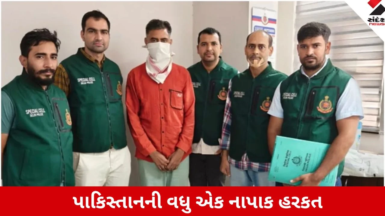 દિલ્હી પોલીસે આતંકવાદી મોડ્યુલનો પર્દાફાશ કર્યો, 11 ભારતીય સિમ કાર્ડ મળ્યા, પાકિસ્તાનની નાપાક હરકત ખુલ્લી પડી.