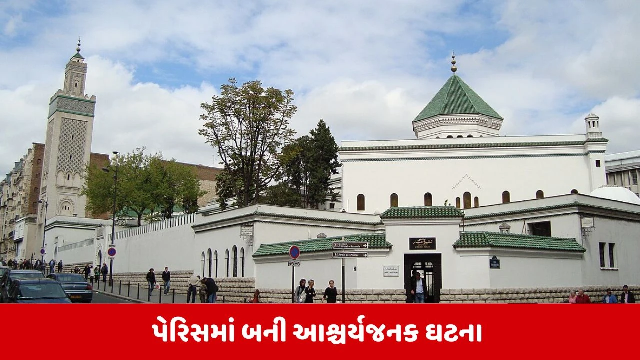 France News: પેરિસમાં મસ્જિદો બહાર 9 ડુક્કરના માથા મળ્યા, France વહીવટી તંત્રએ તપાસ શરૂ કરી.