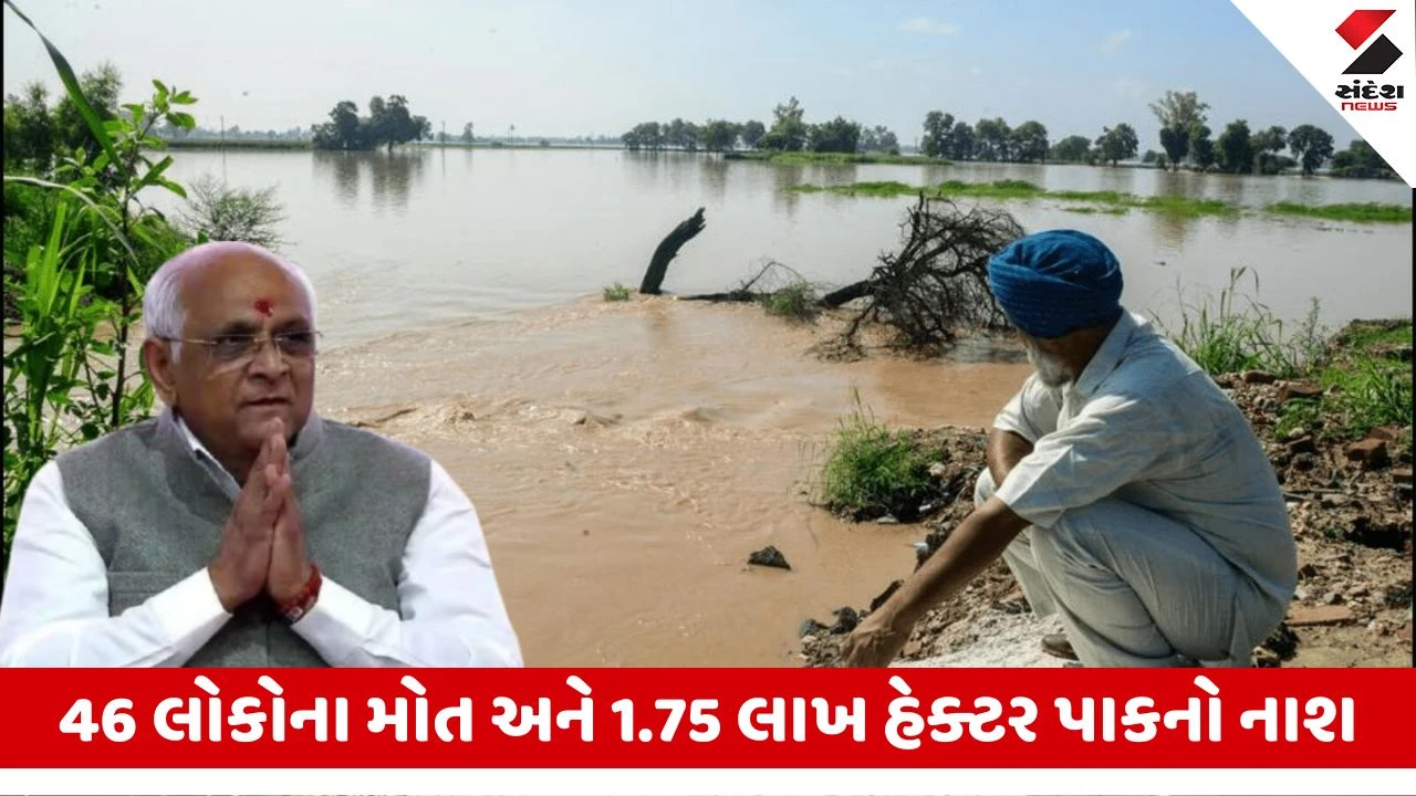 Punjab Flood : પંજાબના પૂરગ્રસ્તોને ગુજરાતની સહાય, જીવનજરૂરી ચીજવસ્તુઓ રેલવે મારફતે મોકલશે