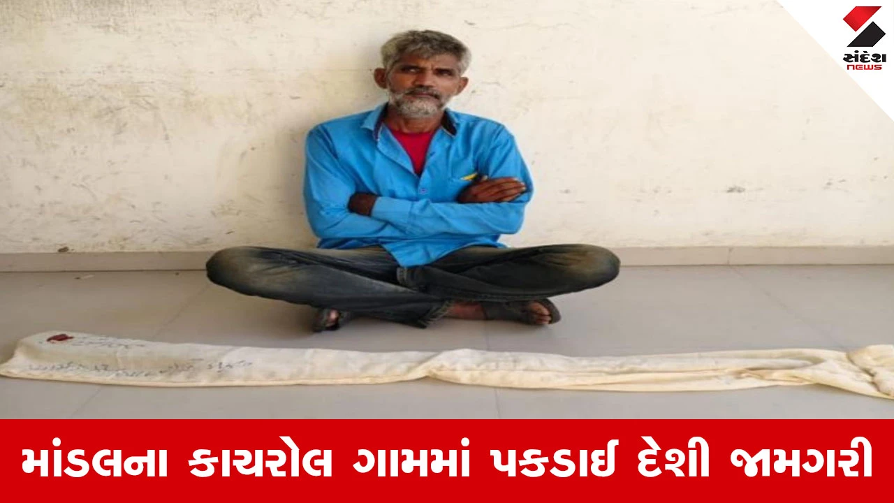Ahmedabad News : SOG પોલીસની મોટી કાર્યવાહી, ગેરકાયદેસર હથિયાર ધરાવતો શખ્સ પોલીસની ઝપટમાં