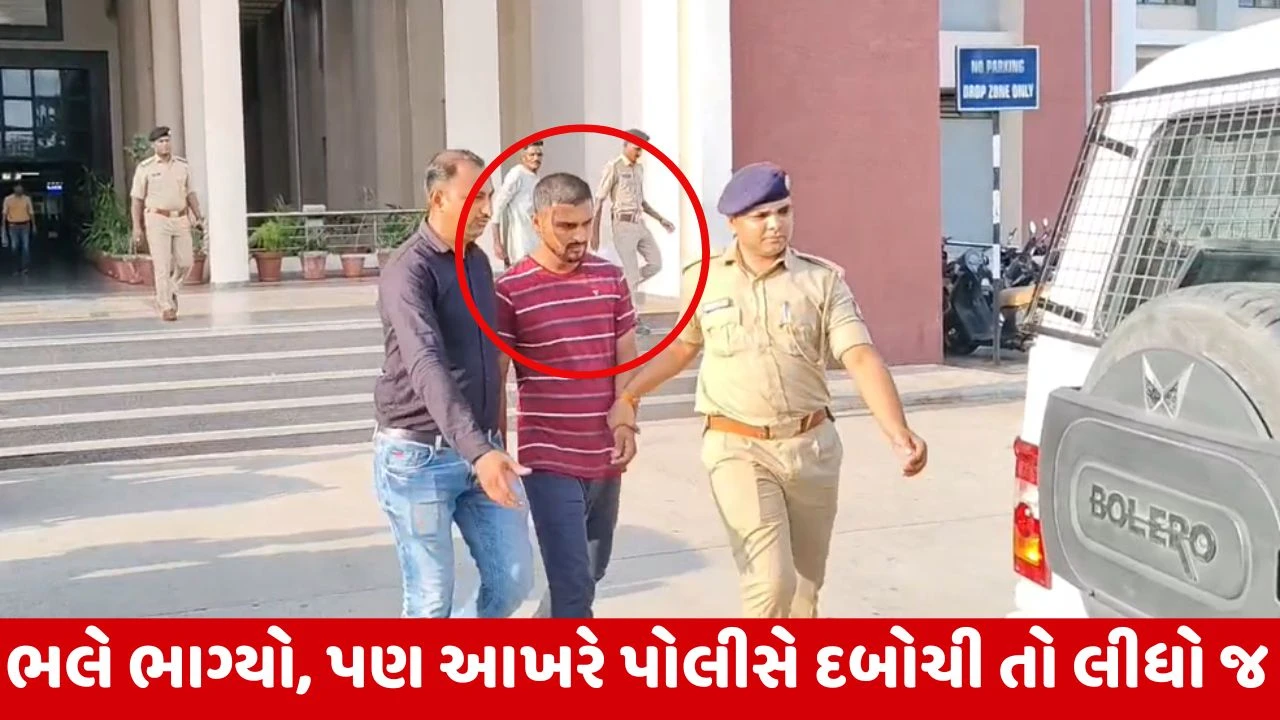 વડોદરા: પોલીસને ચકમો આપી ફરાર હત્યા કેસનો આરોપી સુરતથી ઝડપાયો, જાણો તે સુરત કેમ ગયો હતો.