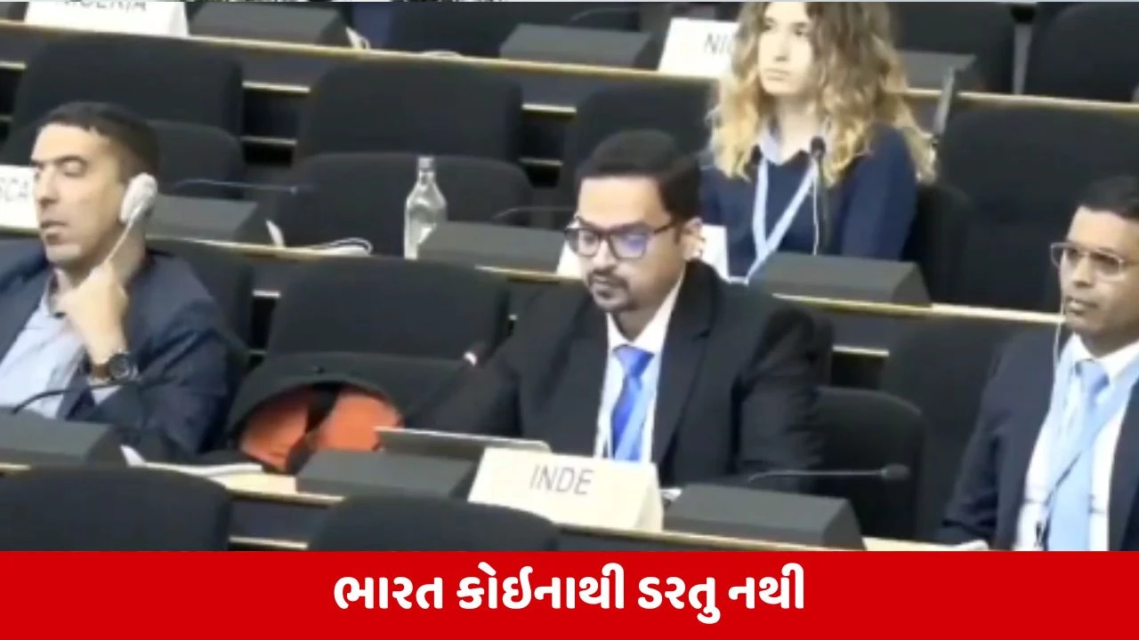 પાકિસ્તાન ભીખ પર જીવે છે, સ્વિટ્ઝર્લેન્ડને મદદ જોઈએ તો કહે: UNમાં ભારતે તાકાત બતાવી.