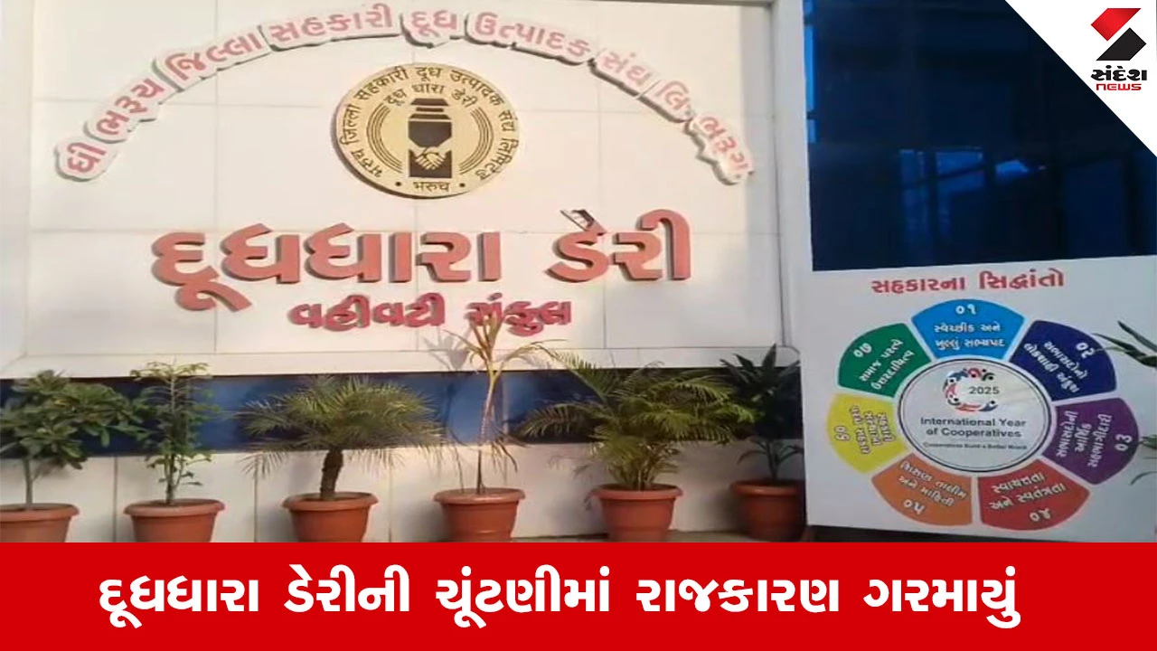 ભરૂચ દૂધધારા ડેરીની ચૂંટણીમાં રાજકારણ ગરમાયું, મનસુખ વસાવા નારાજ: પાર્ટી પક્ષપાતભર્યુ વલણ અપનાવે છે.