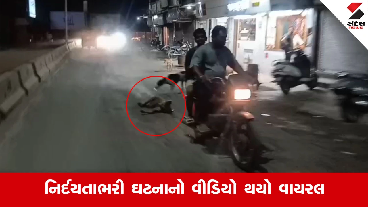 Junagadhમાં માનવતા મરી પરવારી! મૃત શ્વાનને બાઈક પાછળ બે કિલોમીટર સુધી ઢસડ્યું