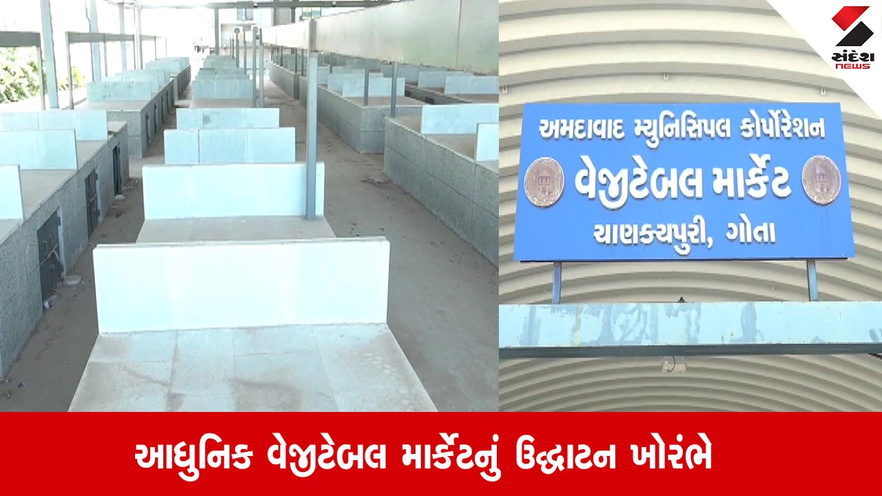 અમદાવાદ: ચાણક્યપુરીનું લાખોના ખર્ચે બનેલું આધુનિક વેજીટેબલ માર્કેટ ઉદ્ધાટન વગર ધૂળ ખાઈ રહ્યું છે, લોકોએ ચબૂતરો બનાવ્યું.