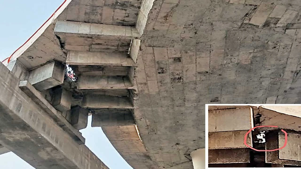 Ahmedabad:ભ્રષ્ટાચારનો પર્યાય : પાલનપુરમાં રૂ. 98 કરોડના ખર્ચે બનેલા થ્રીલેગ એલિવેટેડ બ્રિજ પરથી પોપડો પડયો