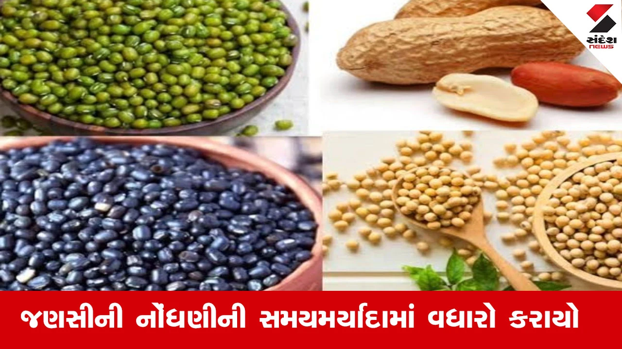 Agriculture News : ખેડૂતો માટે ટેકાના ભાવે મગફળી, મગ, અડદ, અને સોયાબીનની ખરીદી માટે નોંધણીની સમયમર્યાદામાં વધારો થયો