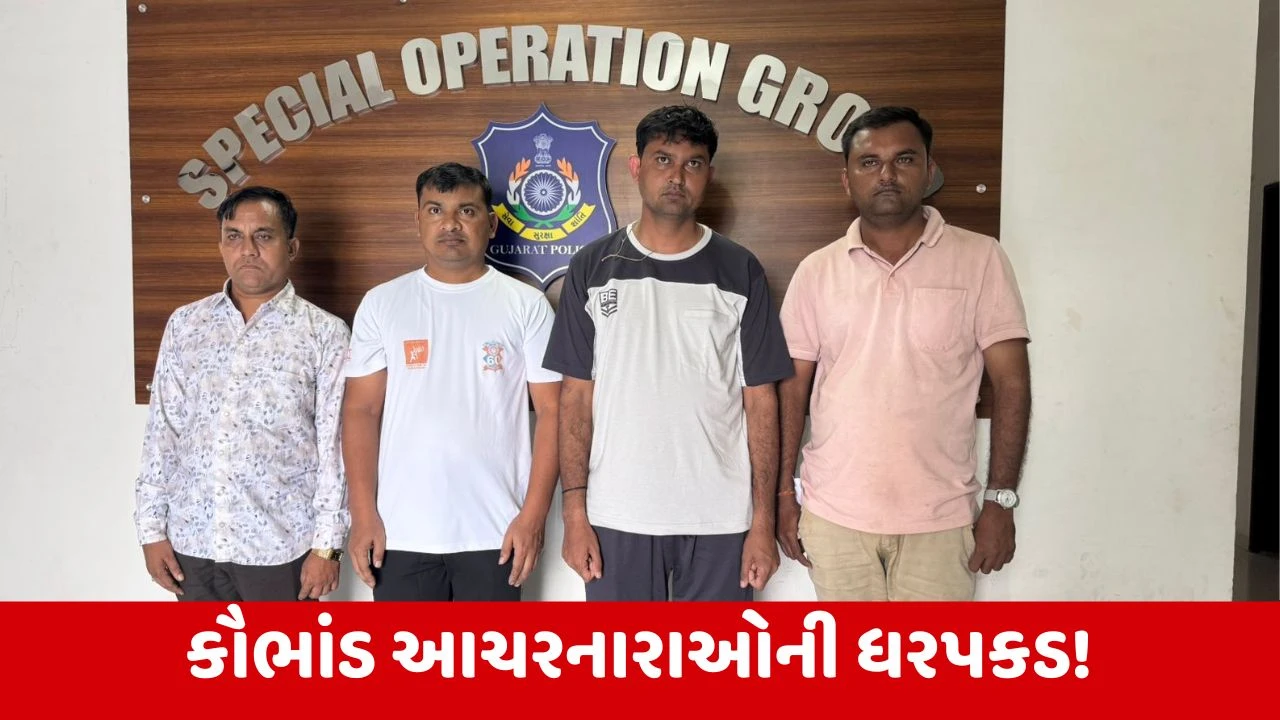 Junagadh : 4.60 કરોડના શિષ્યવૃત્તિ કૌભાંડ મામલે પોલીસે 12 બોગસ સંસ્થાઓમાં તપાસ કરી, 4 શખ્સોની કરી ધરપકડ
