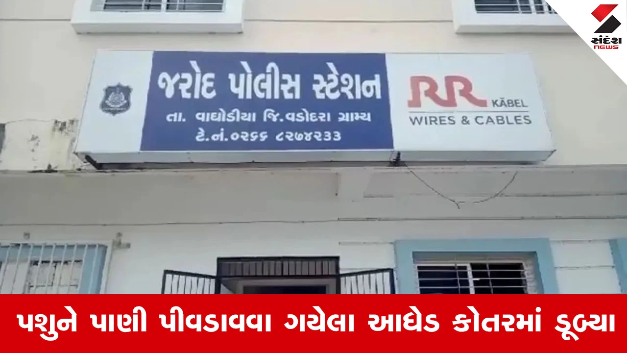 Vaghodia News: કોતરમાં ડૂબી જવાથી આધેડનું કરુણ મોત, રાજપુરા ગામમાં છવાયો શોકનો માહોલ
