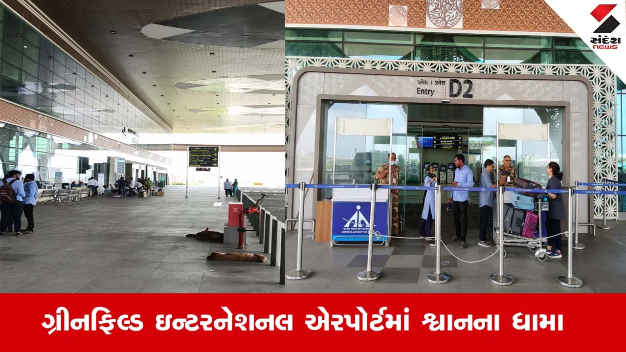 Rajkot : ગ્રીનફિલ્ડ ઇન્ટરનેશનલ એરપોર્ટમાં શ્વાનના ધામા, અસુવિધાને લઈને નાગિરકોમાં ઉઠયા સવાલ