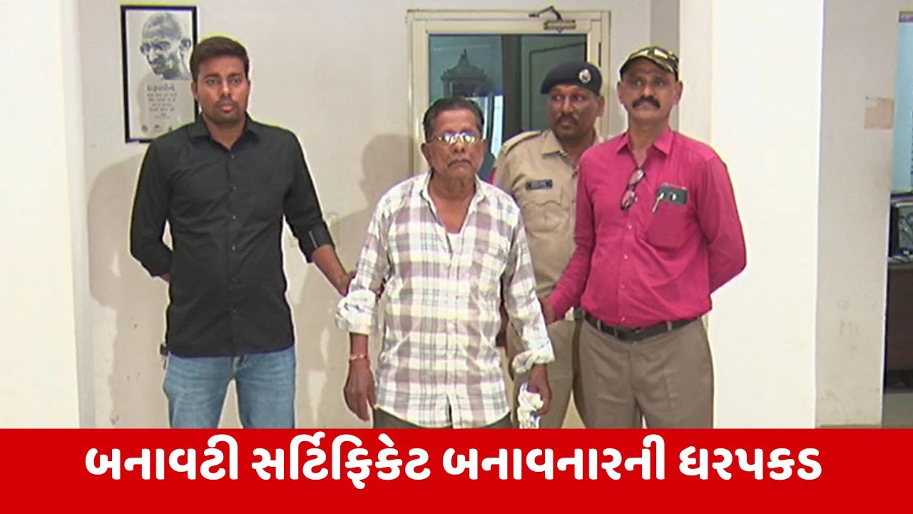 Ahmedabad : નાનાની મિલકતમાં ભાગ લેવાની લાલચ વ્યક્તિને પડી મોંઘી, આરોપીએ પોતાની માતાનું બોગસ મરણ સર્ટિફિકેટ બનાવ્યું!