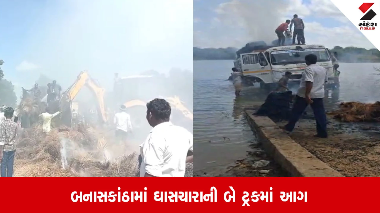 Banaskantha: ભાભર અને સુઈગામના ખડોલમાં ઘાસચારો ભરેલી ટ્રકમાં આગ, ડ્રાઈવરે ટ્રકને પાણીમાં ઉતારી