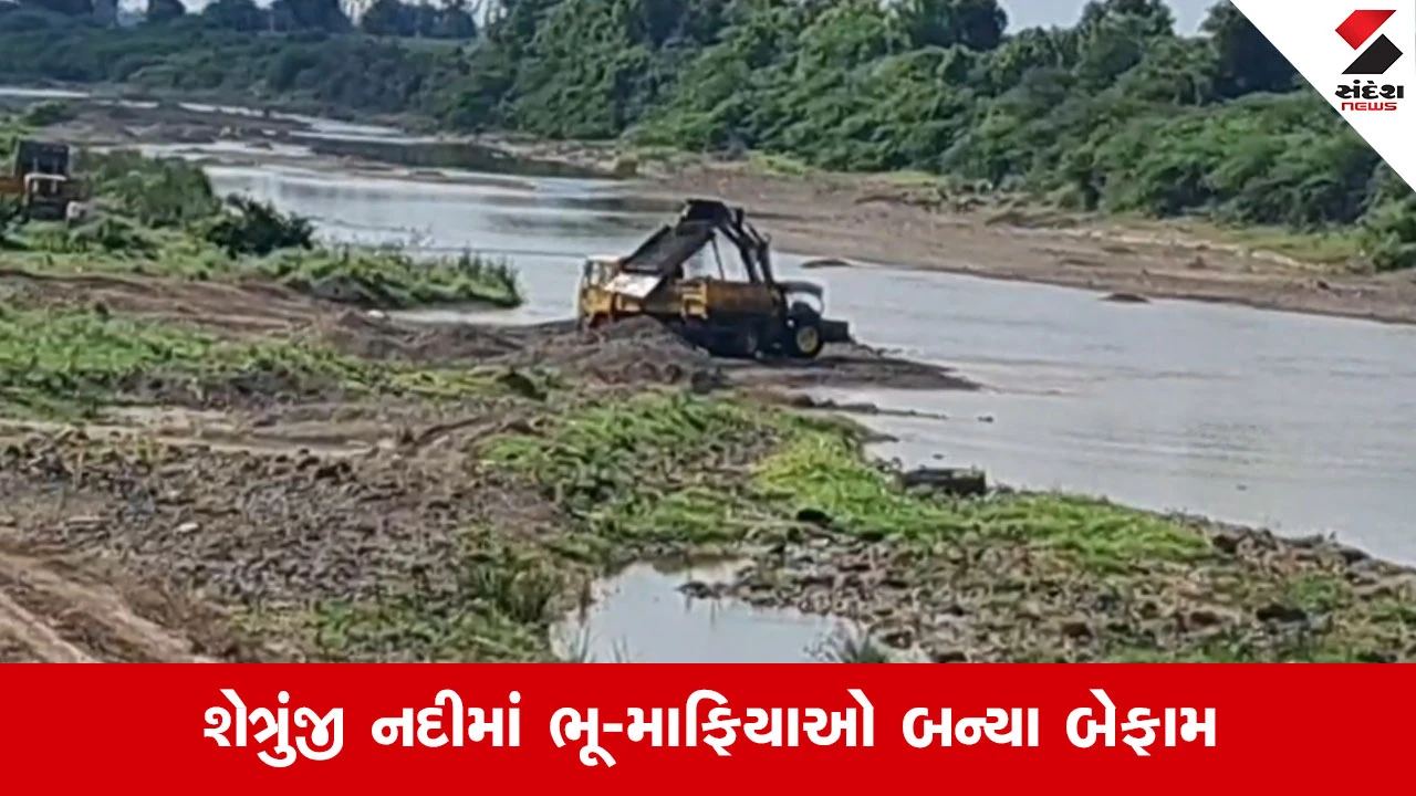 Amreliમાં બેફામ રેતીચોરી, શેત્રુંજી નદીના ઈકો સેન્સિટિવ ઝોનમાં ખનીજ માફિયાઓ ધોળા દિવસે સક્રિય