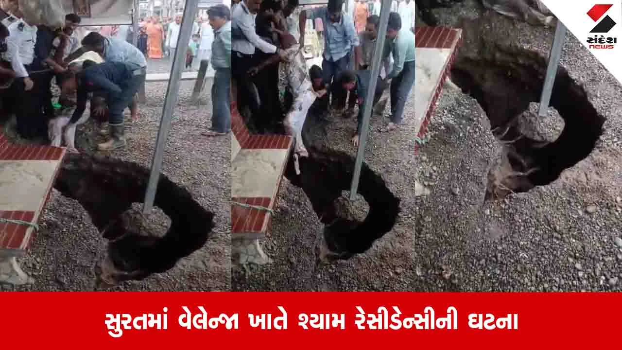 Surat News: સોસાયટીના ગેટ પાસેની ડ્રેનેજ લાઈન તૂટતા ખાડો પડ્યો, બાંકડે બેઠેલા વૃદ્ધ ખાડામાં ખાબક્યા