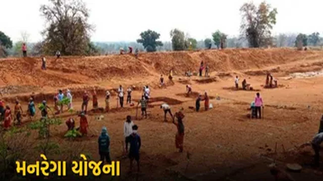 Panchmahal:બેદરકારી બદલ કરાર આધારિત ટેક્નિકલ આસિસ્ટન્ટ ફરજમુક્ત