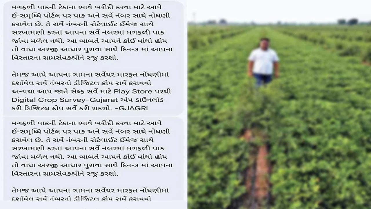 Surendranagar: મગફળીનું વાવેતર સેટેલાઇટ સર્વેમાં ન દેખાતા રોષ