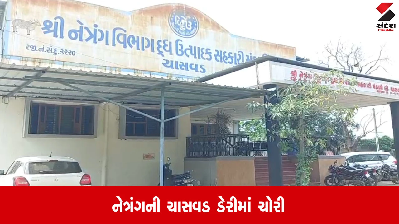Bharuch: નેત્રંગ ડેરીમાંથી દસ્તાવેજોની ચોરી, બે કર્મચારી CCTVમાં કેદ, પુરાવાનો નાશ કરવાનો પ્રયાસ?