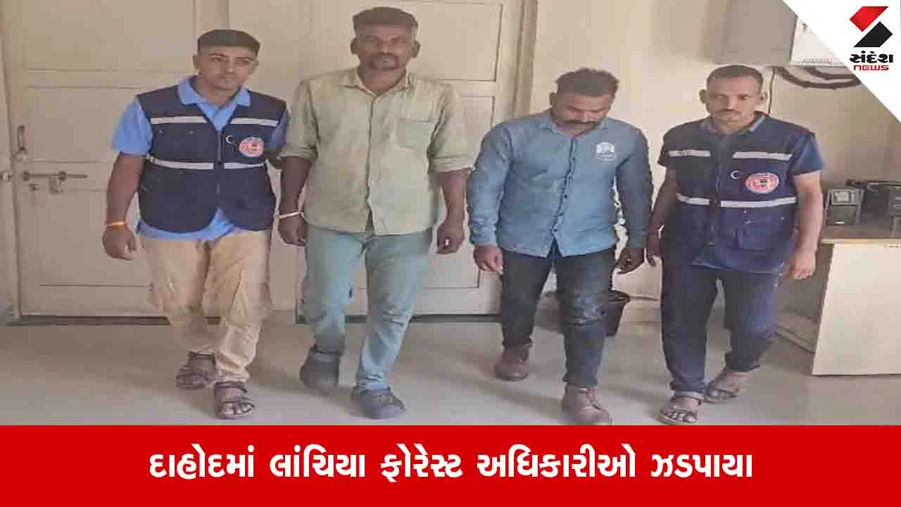 દાહોદ: જંગલ જમીનમાં પશુ ચરાવવા બાબતે લાંચ માંગતા બે Forest અધિકારીઓ 11 હજાર સાથે ઝડપાયા.