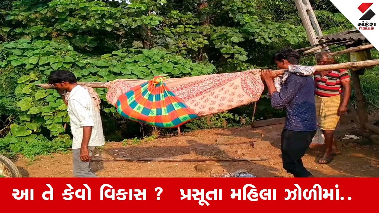 છોટાઉદેપુરમાં પ્રસૂતાને ઝોળીમાં ઉંચકીને દવાખાને લઈ જવાની ઘટના, વિકાસના દાવા પોકળ સાબિત થયા.