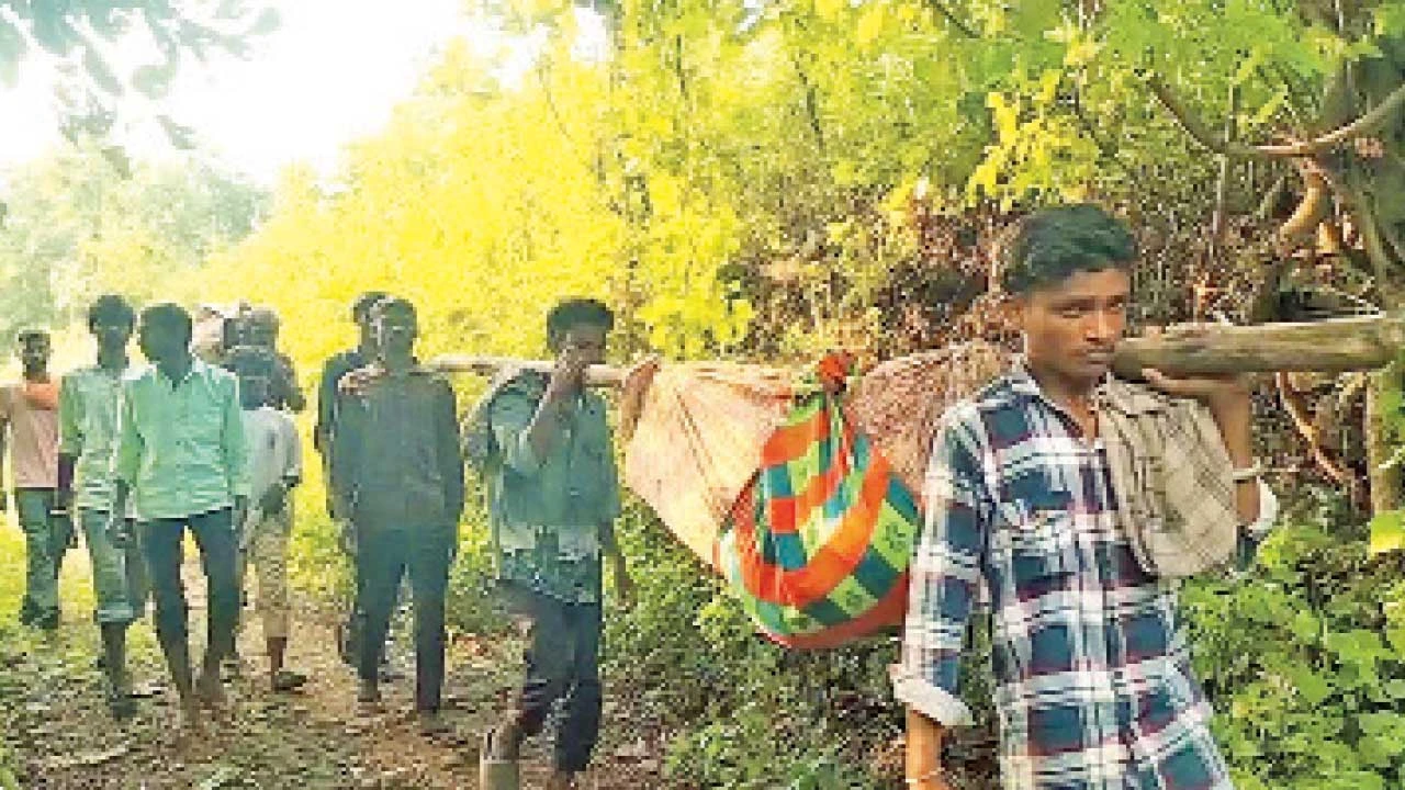 Chhotaudaypur:આંબાડુંગરની પ્રસૂતાને ઝોળીમાં 5 કિ.મી દૂર હાફેશ્વર લઇ જવાઇ