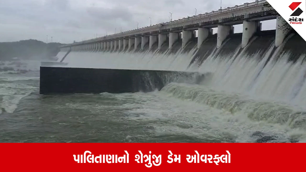 Bhavnagar: શેત્રુંજી ડેમ 7મી વખત ઓવરફ્લો, ડેમના 30 દરવાજા ખોલવામાં આવ્યા