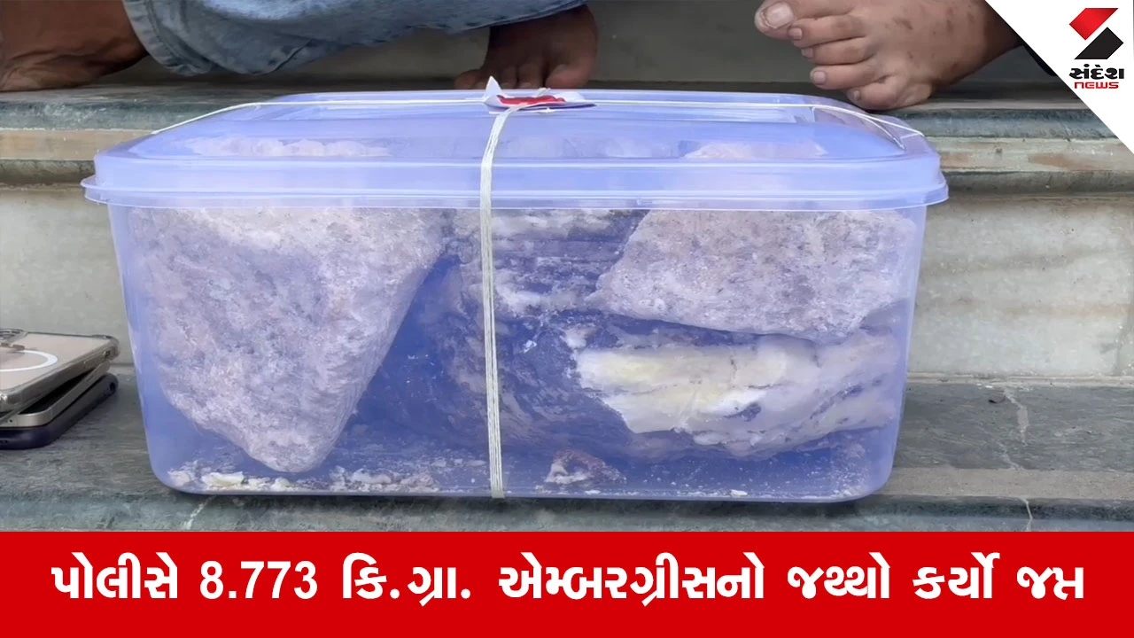 Suratમાં વ્હેલ માછલીની ઉલટીની ગેરકાયદેસર હેરાફેરી કરતા 9 આરોપીઓની ધરપકડ