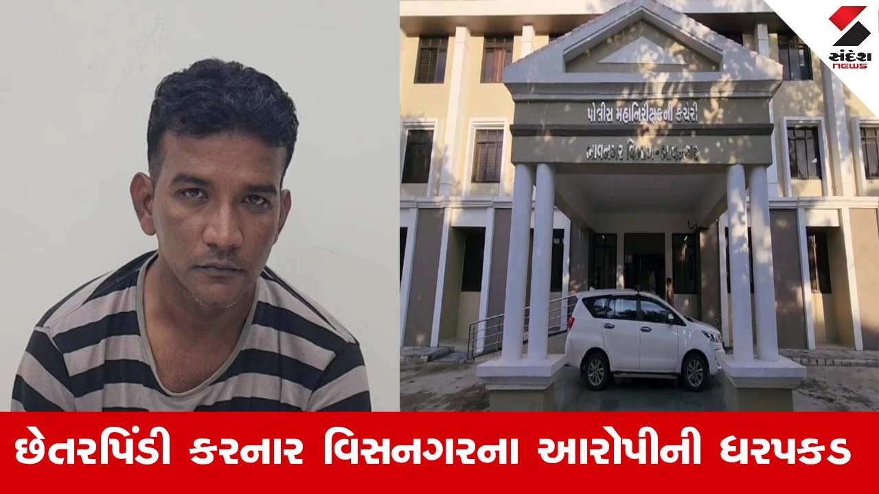 Bhavnagarમાં શેરબજારમાં નફાની લાલચ આપી કરોડોની છેતરપિંડી કરનાર ભેજાબાજ ઝડપાયો, સાયબર ક્રાઈમે આરોપીની કરી અટકાયત