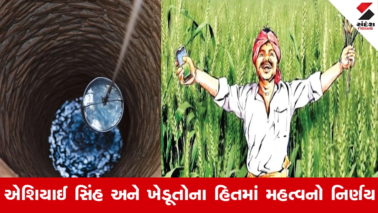 Agriculture News : એશિયાઈ સિંહ અને ખેડૂતોના હિતમાં મહત્વનો નિર્ણય, ખેતરમાં બનાવવામાં આવતા મંચાણ-મેડા સહાયમાં વધારો કરાયો