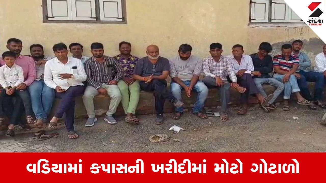 Amreli News : વડીયામાં કપાસની ખરીદીમાં ગોલમાલ, તોરી ગામે એક ગાડીએ 15 મણ કપાસ વધુ લેવાનો આક્ષેપ