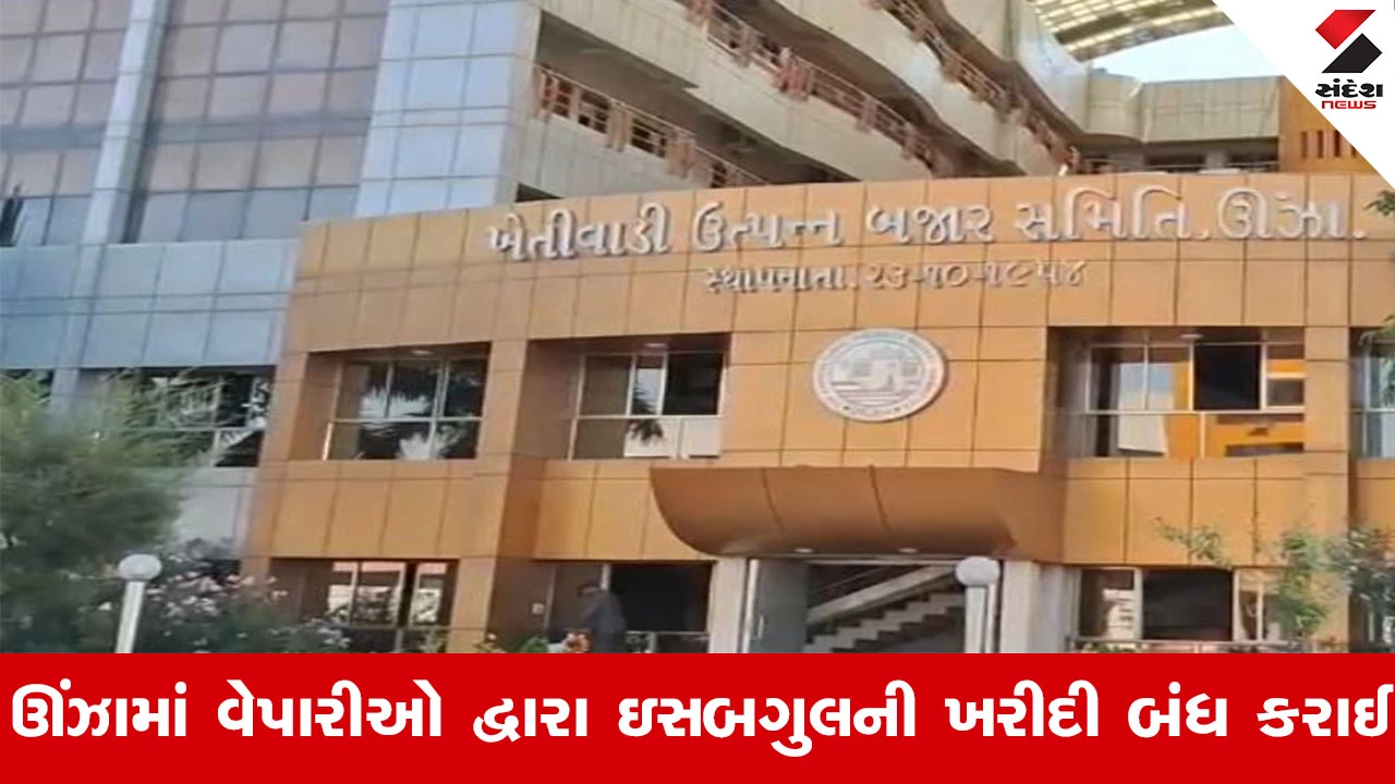 Mehsana News : ઊંઝામાં વેપારીઓ દ્વારા ઇસબગુલની ખરીદી બંધ કરાઈ, 5 ટકા GST દૂર કરવા વેપારીઓની માગ