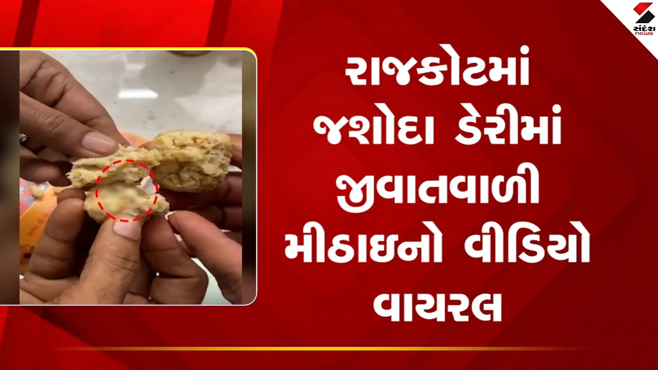 Rajkotમાં જશોદા ડેરીમાં જીવાતવાળી મીઠાઇનો વીડિયો વાયરલ, જુઓ Video